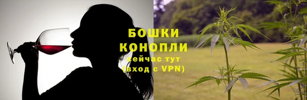 стаф Майский