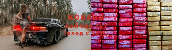 apvp Магас