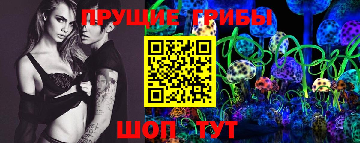 Псилоцибиновые грибы Psilocybe Маркс